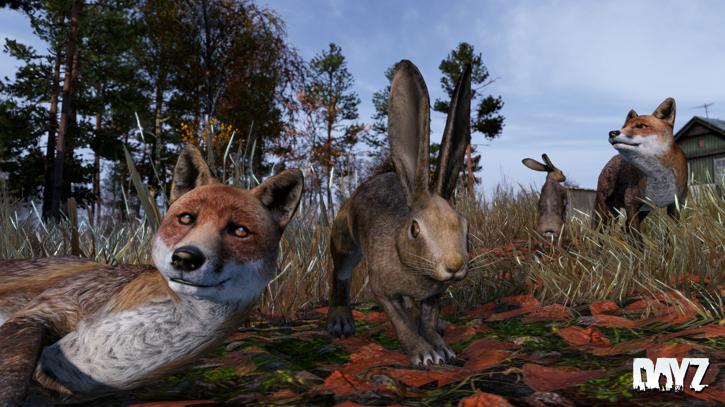 Dev_Blog_Support%20_Wildlife.jpg