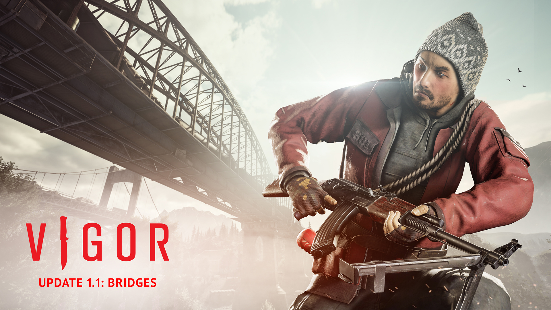 vigor_11_update_det_0.jpg