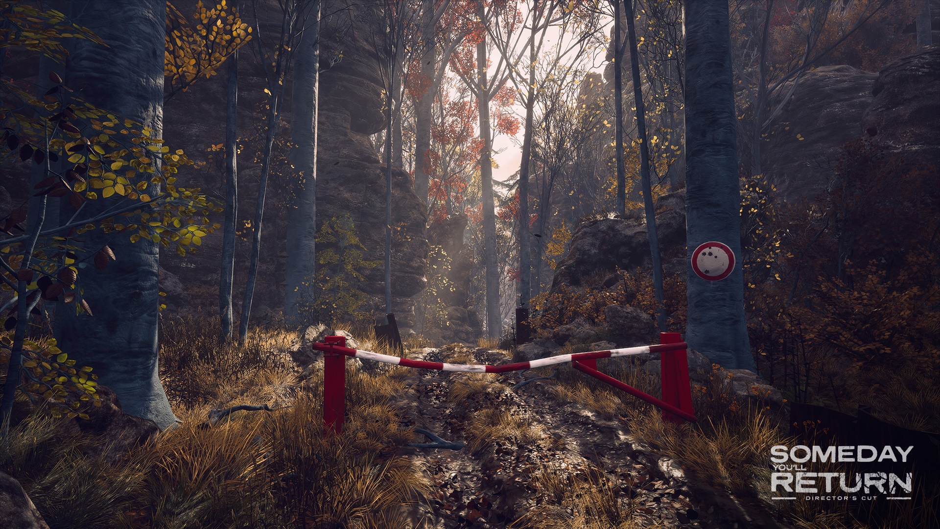 Woods.jpg