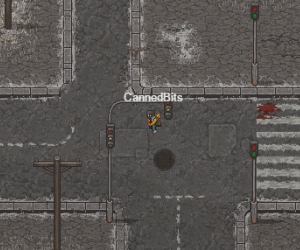 minidayz_playerinteract02.gif