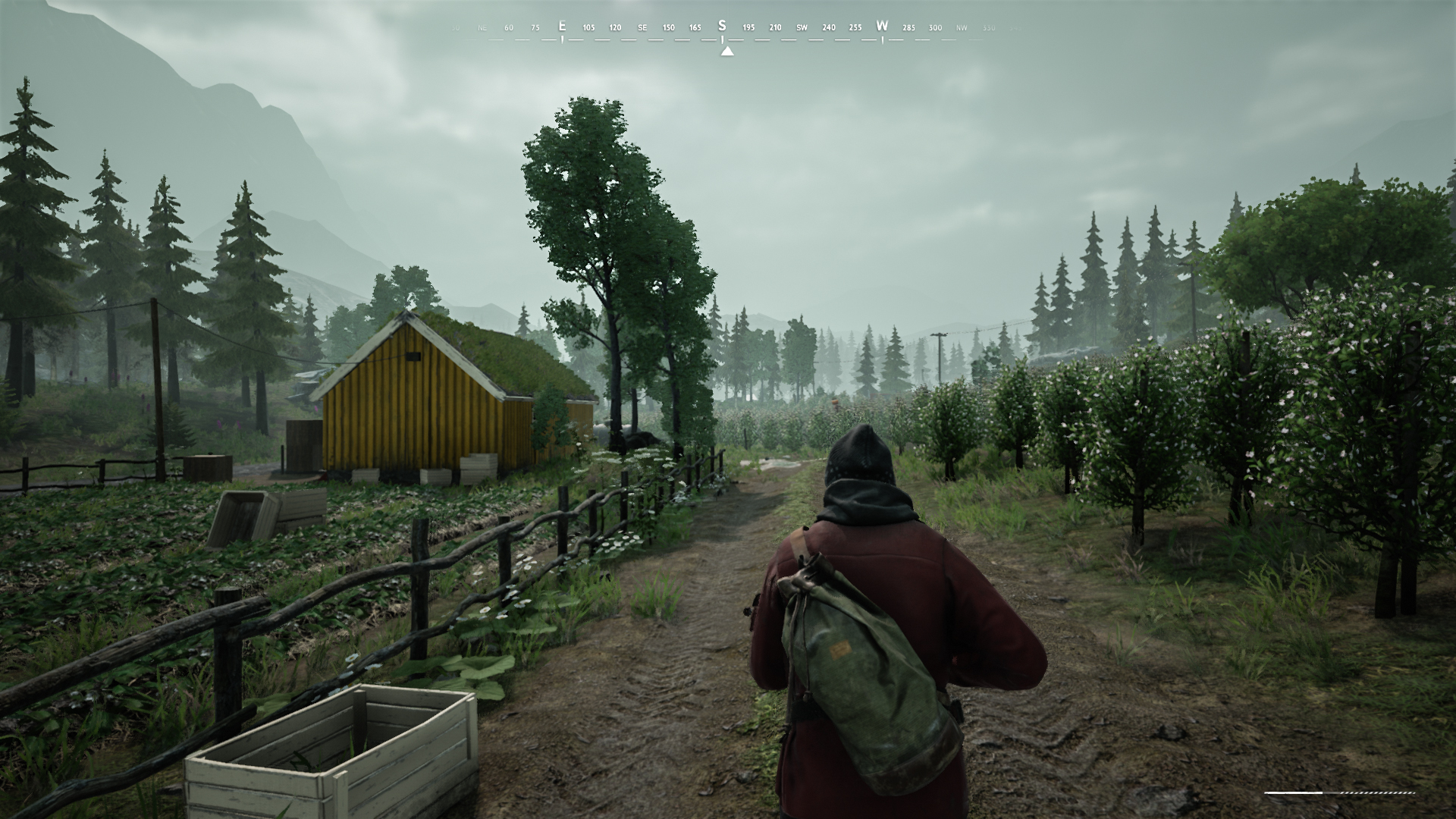 vigor_11_update_det_4.jpg