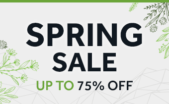 Spring Sale on Steam 2024