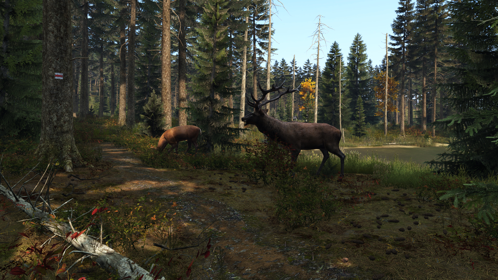 dayz_release_screen_1.jpg