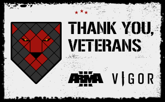 Czech Veterans Day - Summary