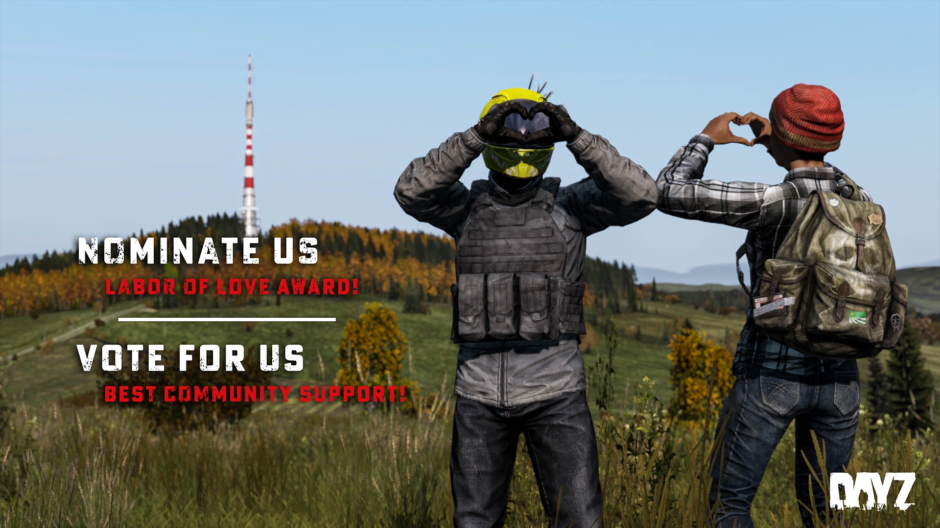 vote_dayZ.jpg