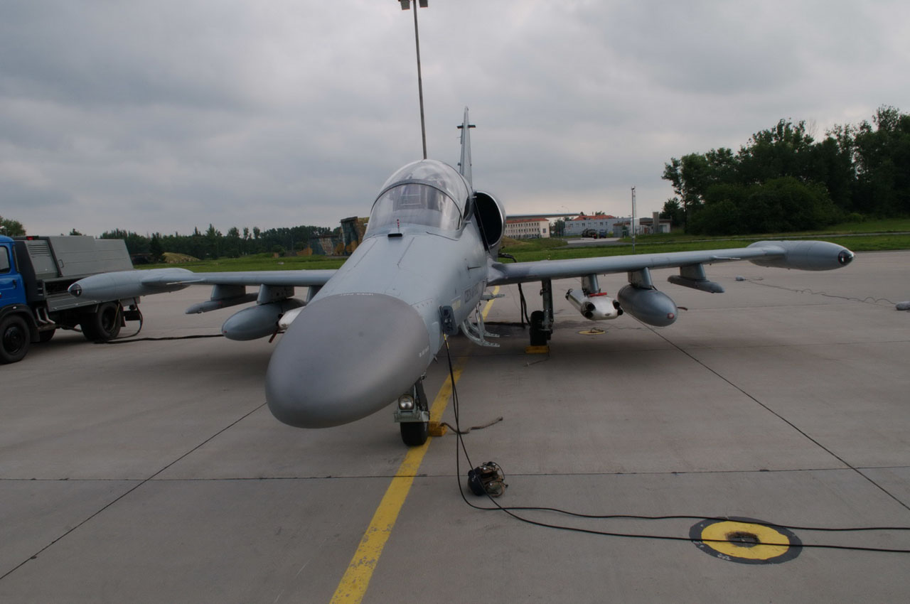 ACR_Alca_05.jpg