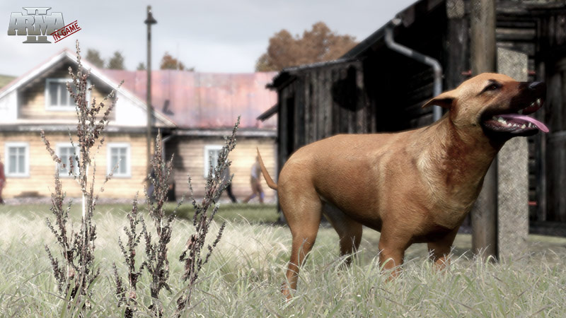 ArmA2_Ingame-30.jpg