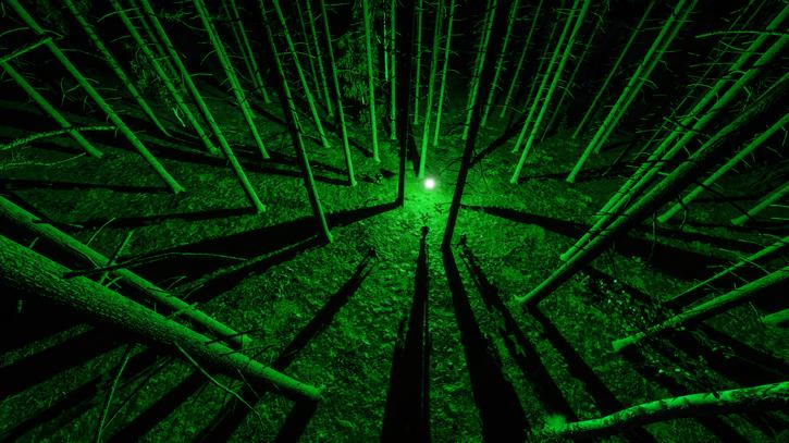 1.2_Release_Screenshot_Green.jpg