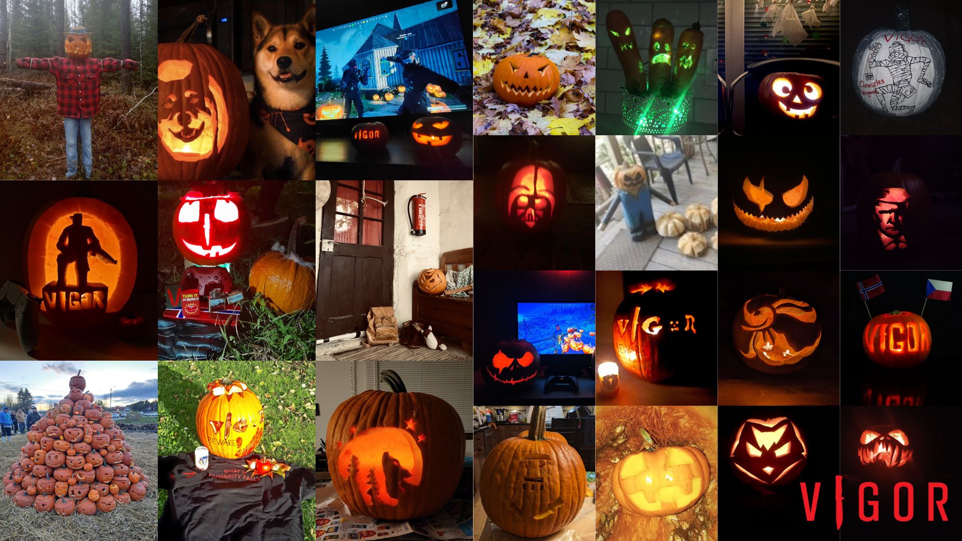 Vigor_Pumpkins.jpg