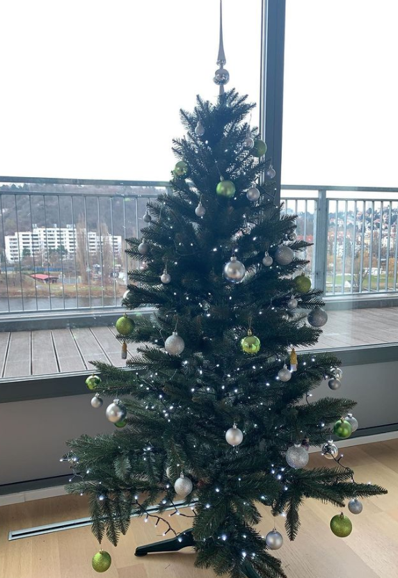 tree3.png