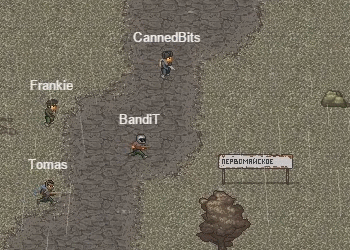 minidayz_multiplayer.gif