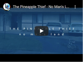 pineapple_theif.PNG