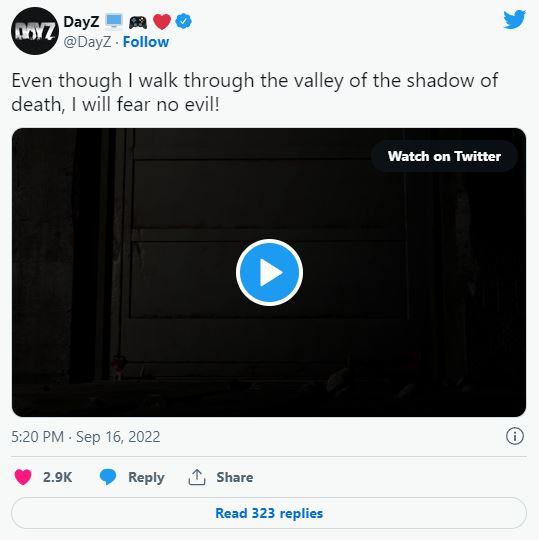 dayz_119_twitter_teaser.JPG