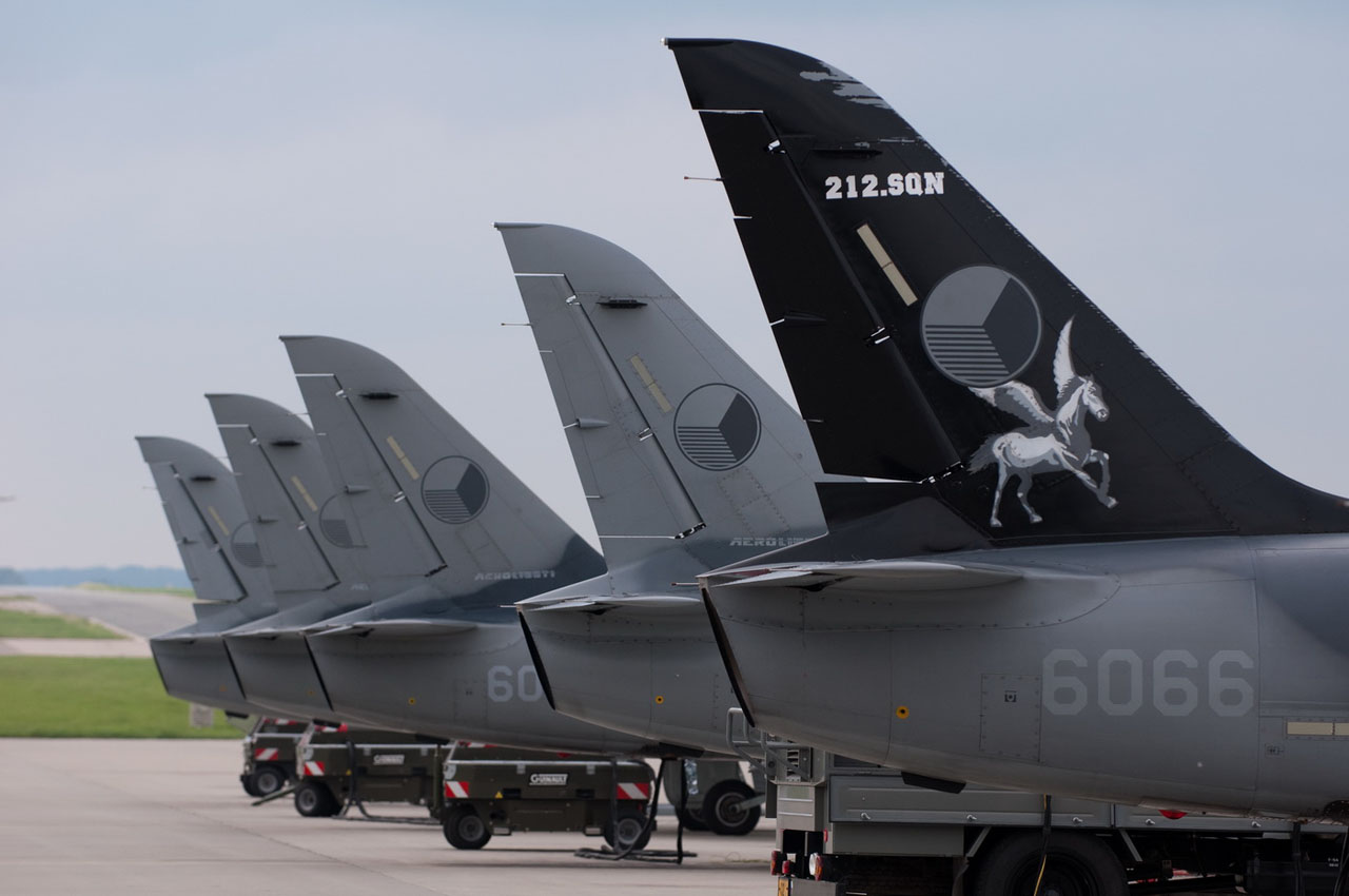 ACR_Alca_03.jpg