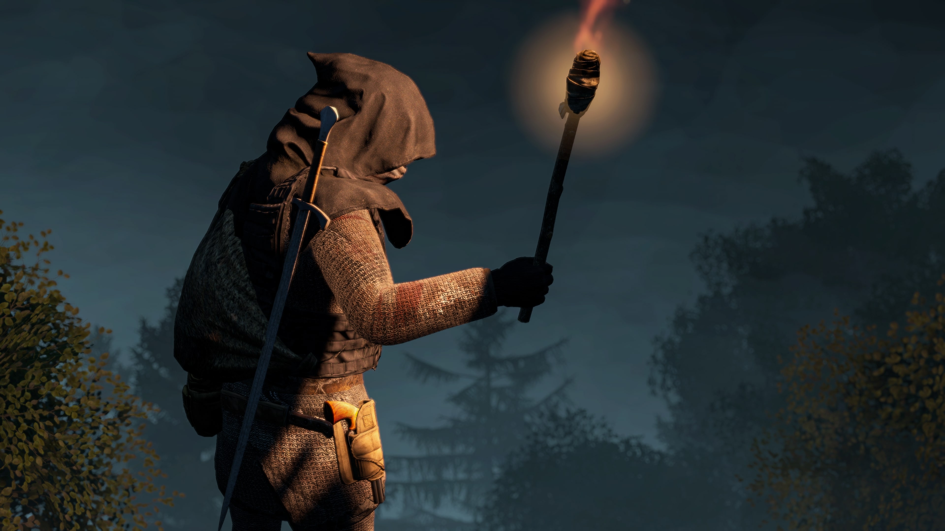 torch_dayz_121.jpg