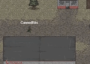 minidayz_exploration.gif