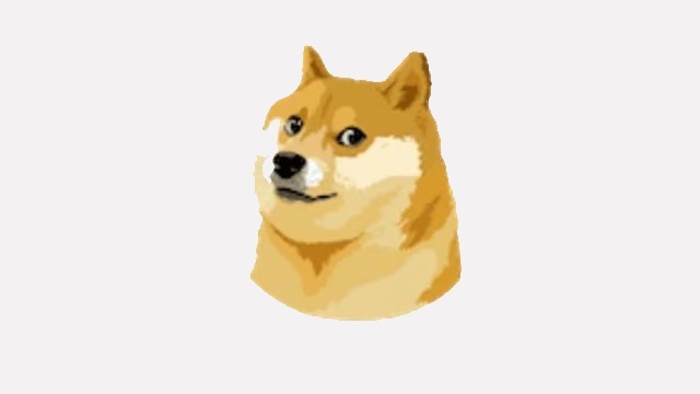 mtb_doge.jpg