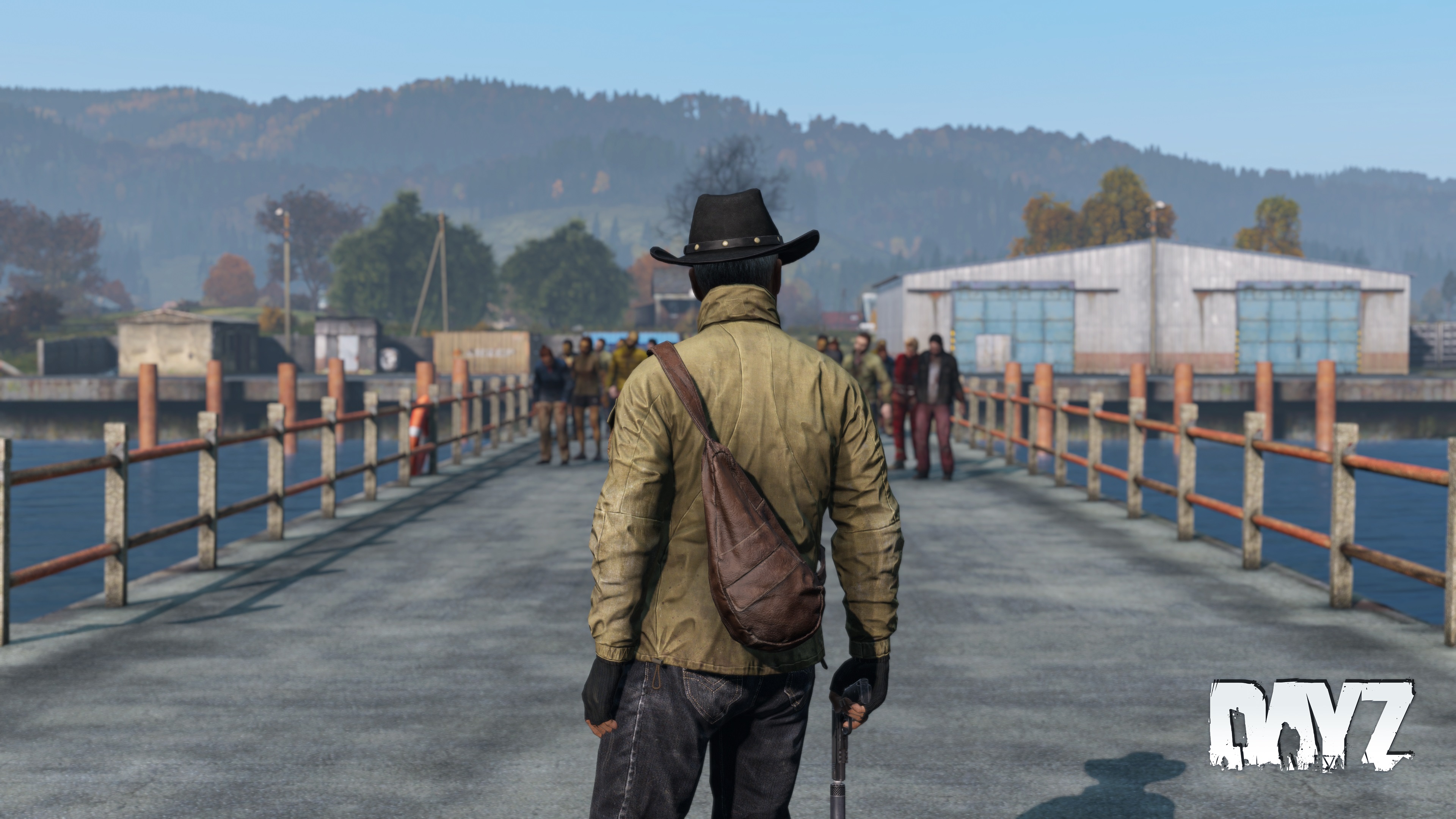 dayz_Support.jpg