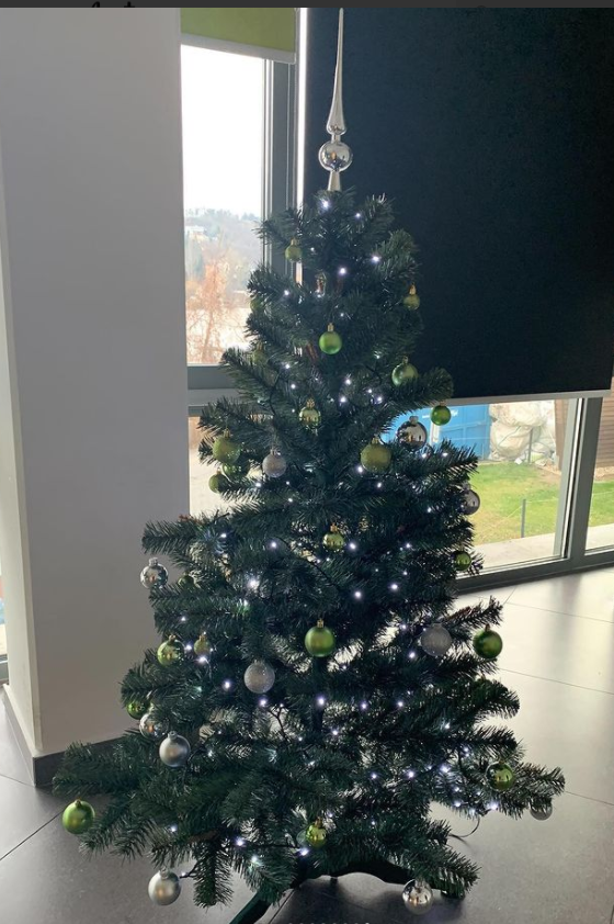 tree7.png